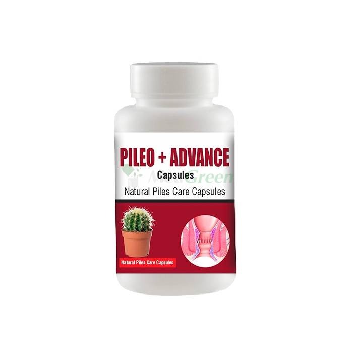 ✦ Pileo + Advance - remedy for hemorrhoids