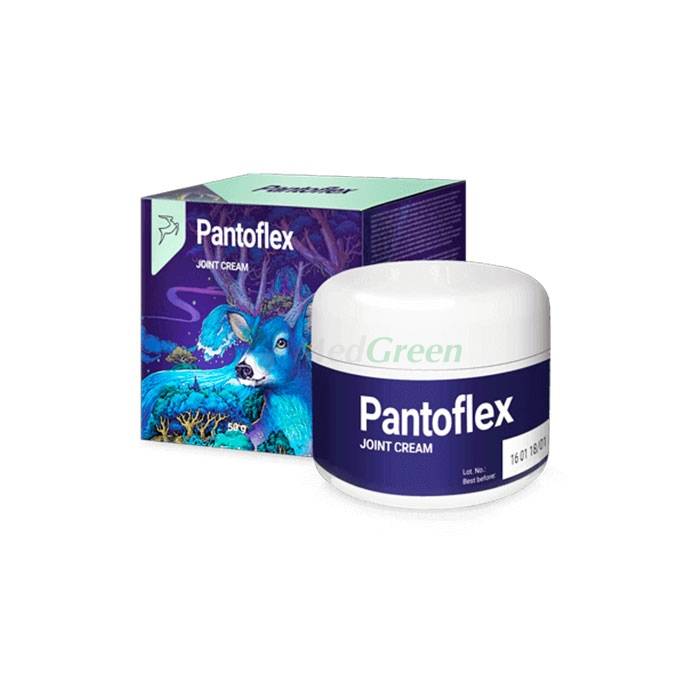 ✦ Pantoflex - cream for joints